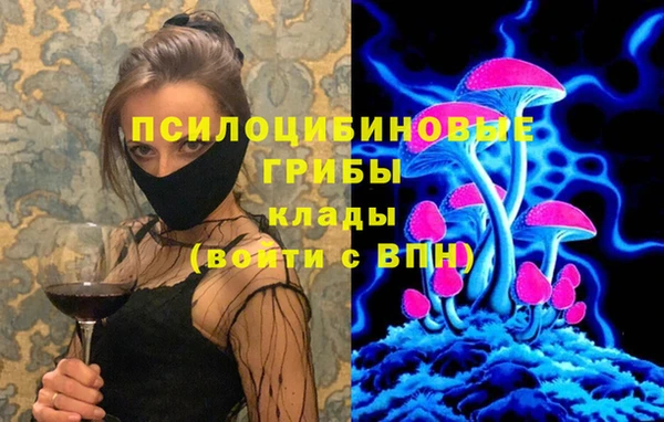 гашик Верхний Тагил